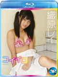 品番:COIB-002