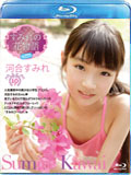 品番:ICBR-35006
