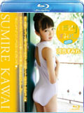 品番:ICBR-35008