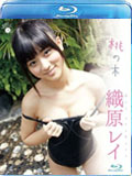 品番:SVBD-005